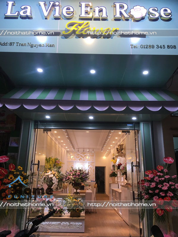 thiết kế shop hải phòng